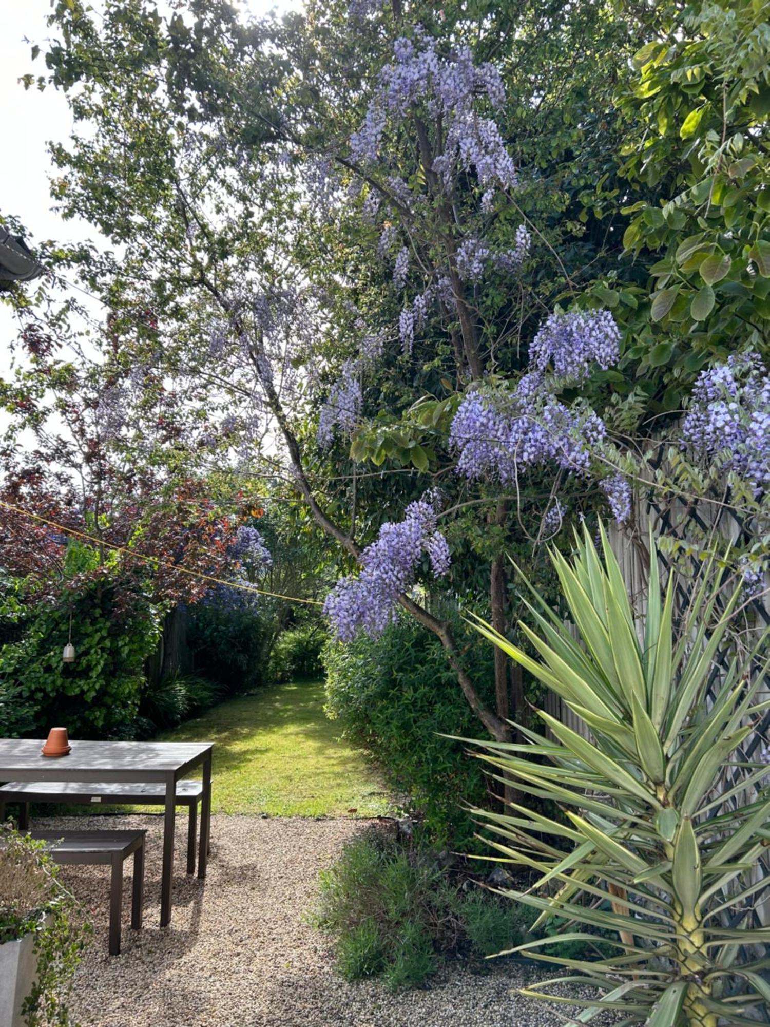 Sea Song Cottage Broadstairs Ngoại thất bức ảnh